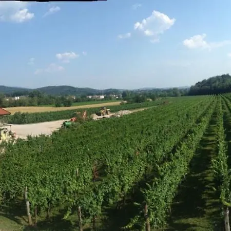 Borgo Di Corte - Agrituristico *