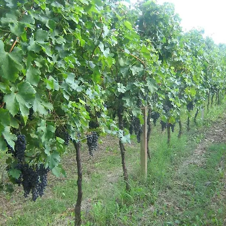 Borgo Di Corte - Agrituristico * Prestento