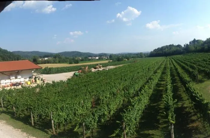 Borgo Di Corte - Agrituristico *