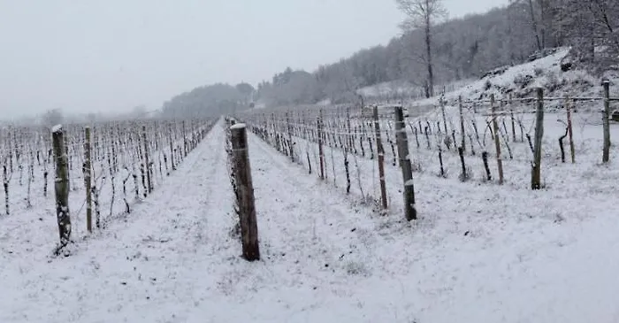 Farmház Borgo Di Corte - Agrituristico